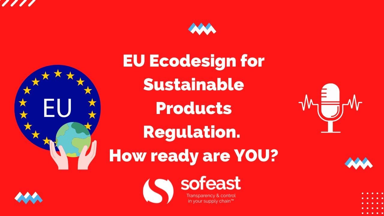 EU Ecodesign for Sustainable Products Regulation. How ready are YOU? (Part 1)