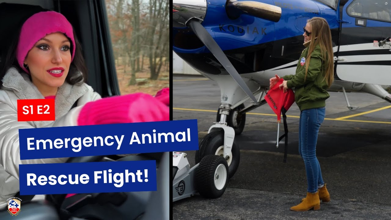 S1 E2 – Will She Say Yes? Rescue Pilot Asked to Fly Shelter Pets to their Forever Homes #PetRescue