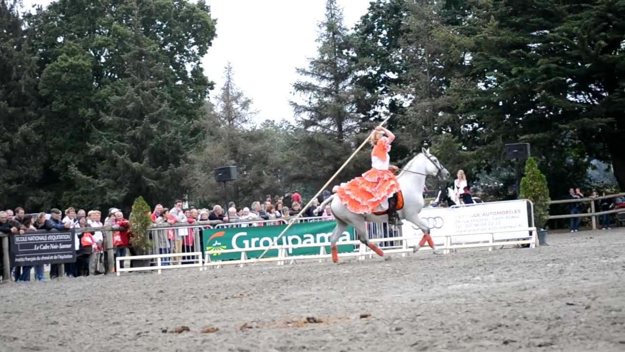 Spectacle équestre espagnol (Garrocha - Haute école - Doma Vaquera)