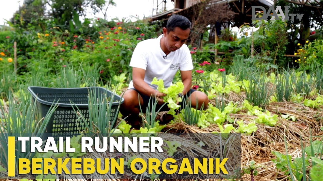 Pelari Lintas Gunung (Trail Runner) Berkebun Organik - RokNRol Farm