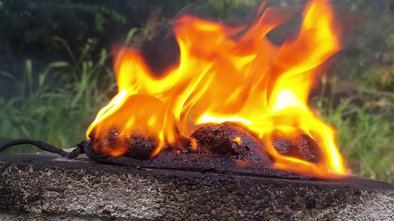 TORCH VS MOUSE!! DON'T TRY THIS AT HOME!!