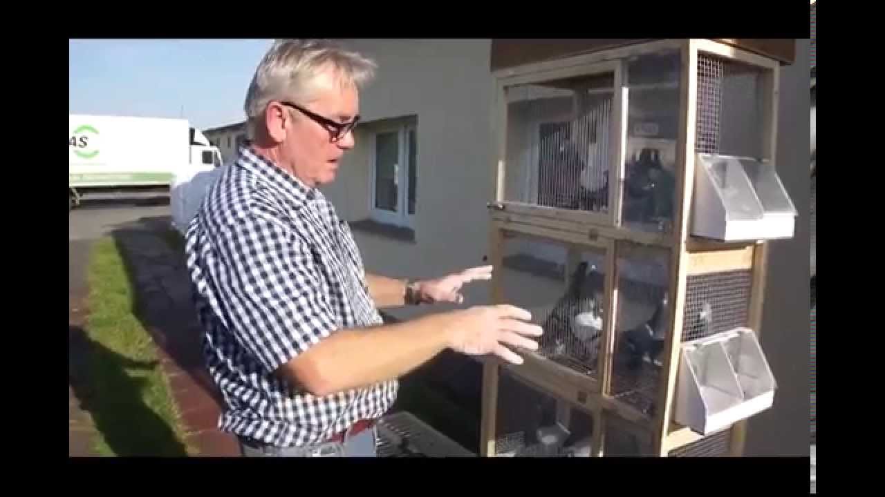 Andrzej Głazik - gołębie Janssen - część 1 - 05.11.2014r.