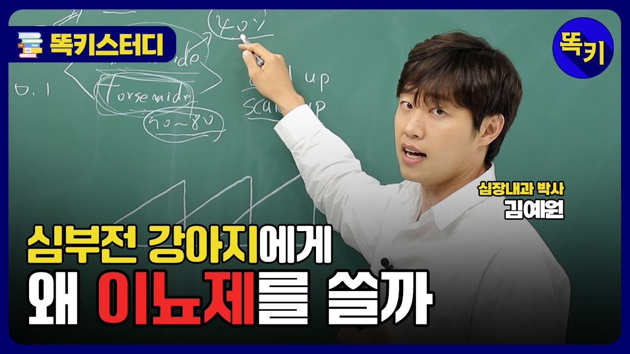 강심제, 이뇨제 제대로 알기 | “심부전 강아지, 물 충분히 먹이세요”