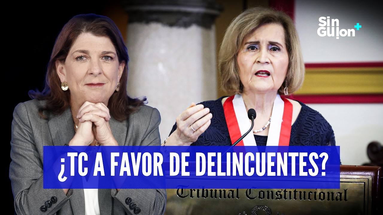 ROSA MARÍA PALACIOS EXPLICA LA LEY SOTO AVALADA EN EL TRIBUNAL CONSTITUCIONAL