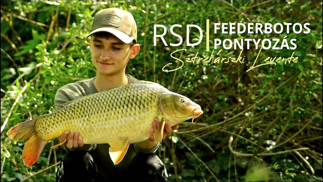 RSD - Feederbotos pontyozás🌿