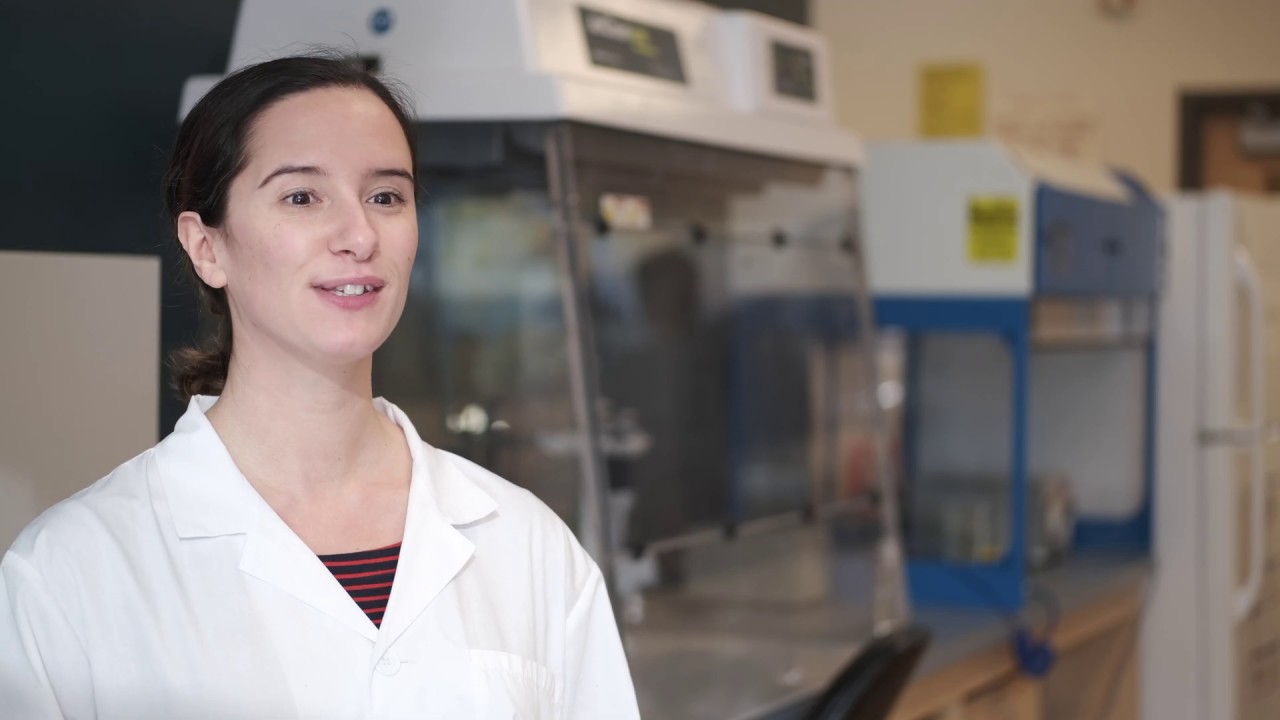 Microfluids Lab on a Chip by Julian Sketchley (Feature length)