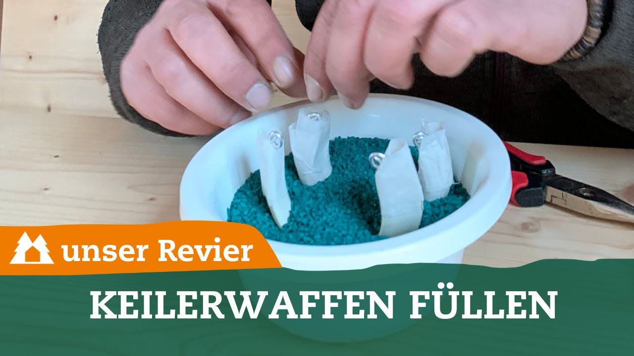 Keilerwaffen füllen I Trophäe präparieren I Gewaff füllen I Wildschwein I unser Revier I #18
