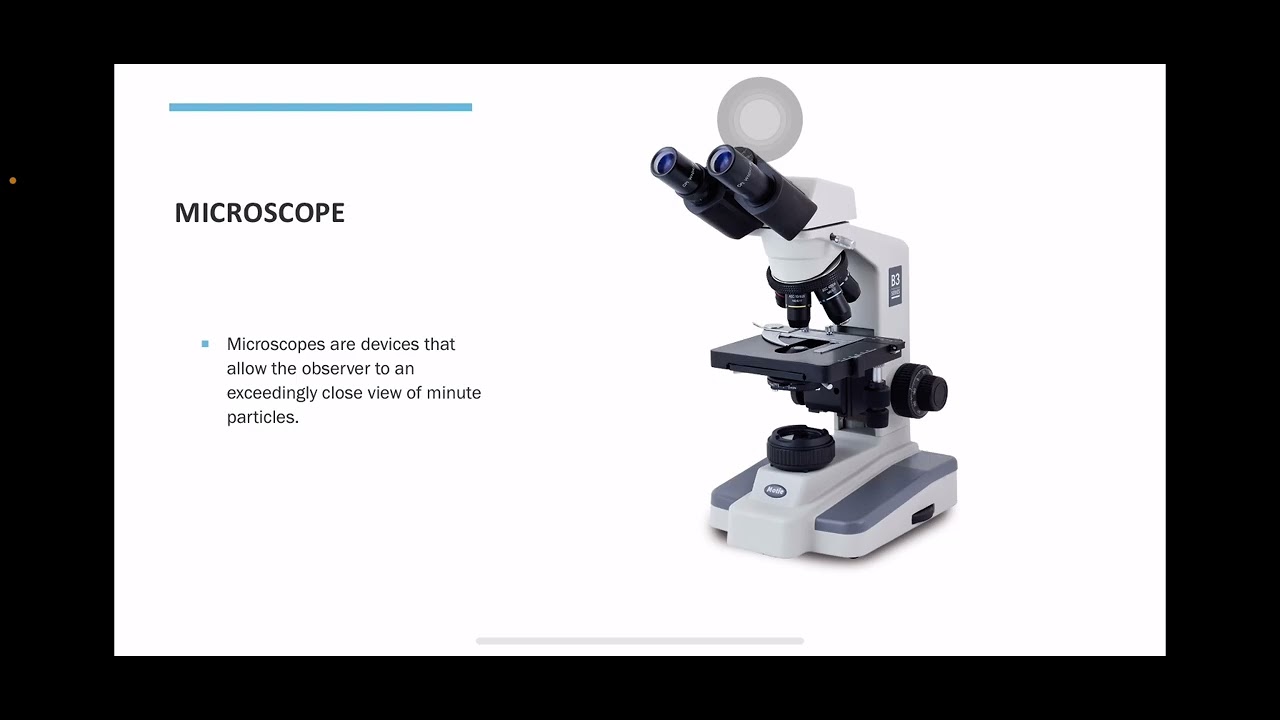 Automation in Clinical Bacteriology