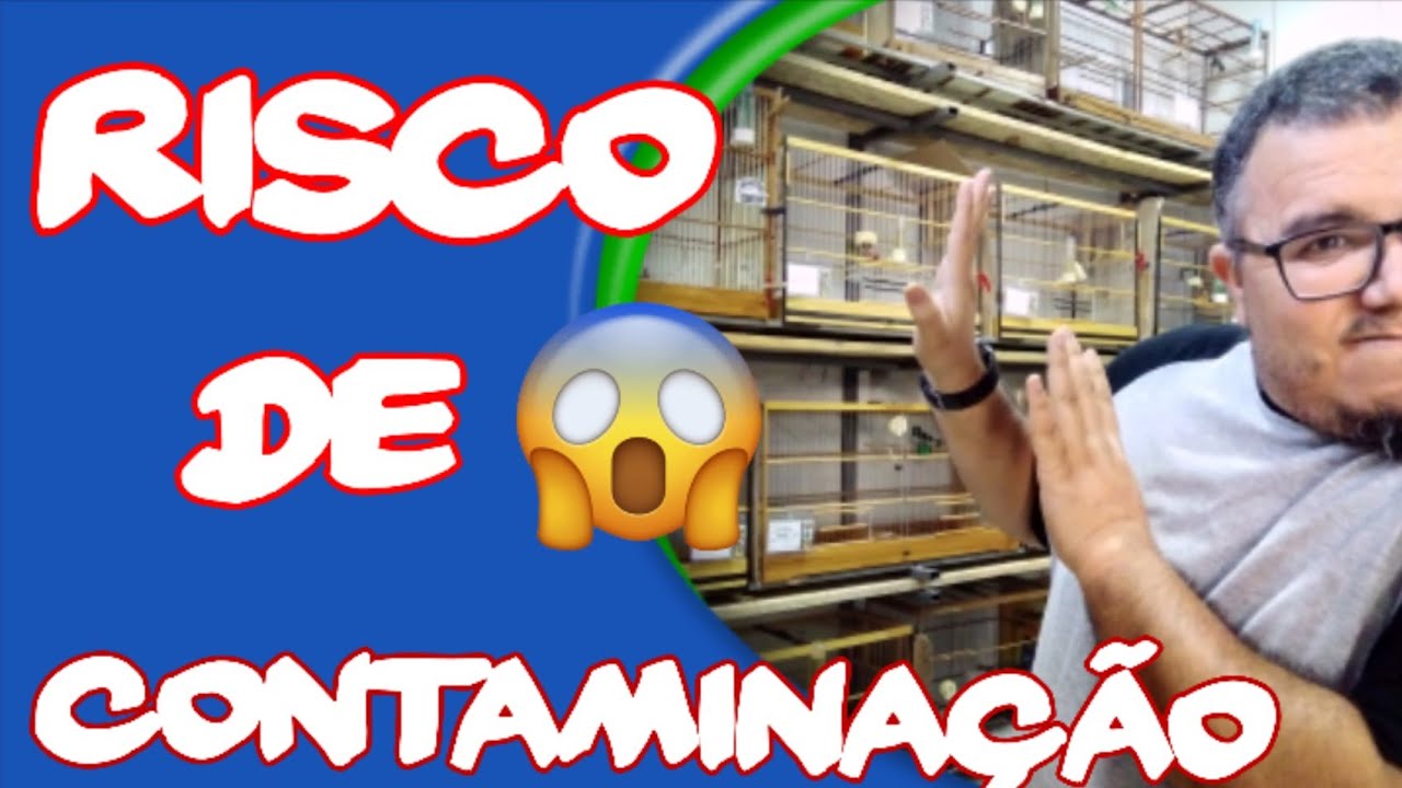 doenças transmitidas das aves  