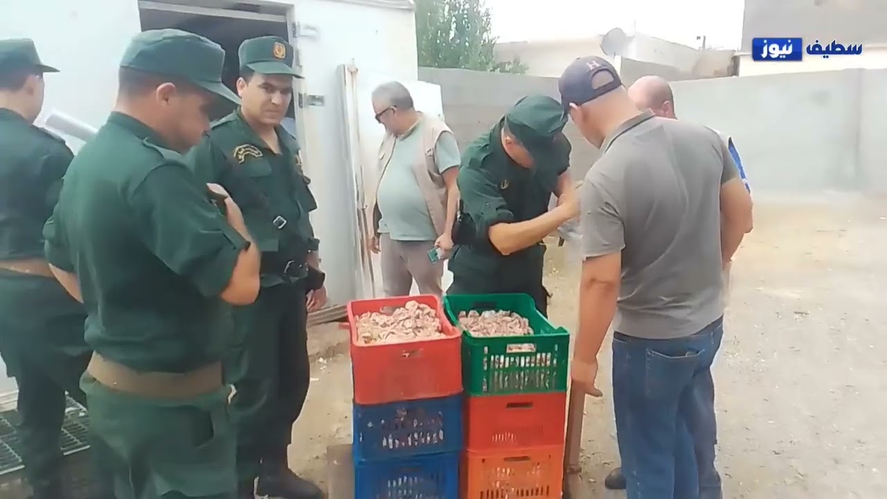 حجز 20 قنطاراً من أحشاء الدجاج غير صالحة للاستهلاك في بئر حدادة بسطيف
