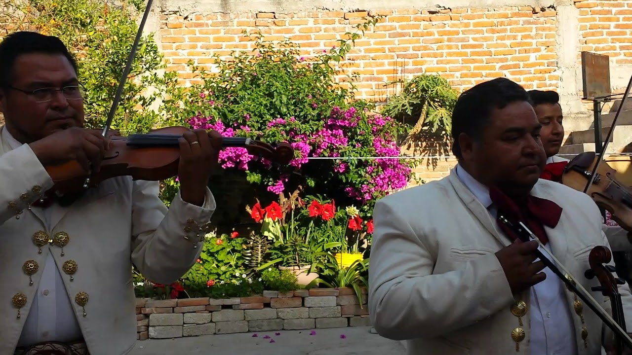 Sin Fortuna | Mariachi Dolorense |Dolores Hidalgo Guanajuato