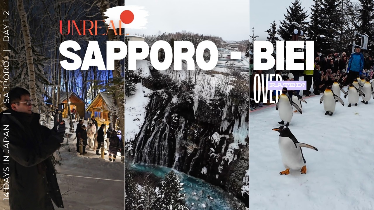 Japan Winter Reality Check: The Cost, The Cold & The Accident | Sapporo & Biei 2026