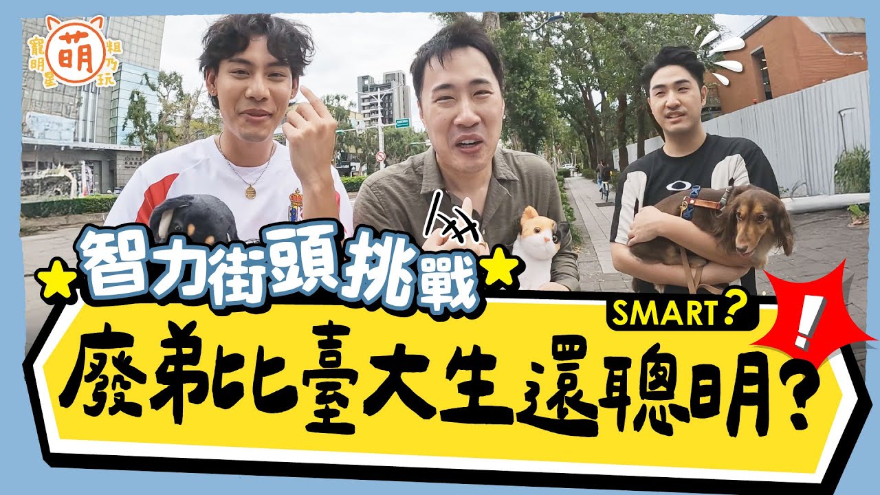 比臺大生還聰明？余祥銓 鹿希派 各務孝太 街頭智力挑戰【 廢弟弟出任務 】萌寵明星粗乃玩 @haveapetday