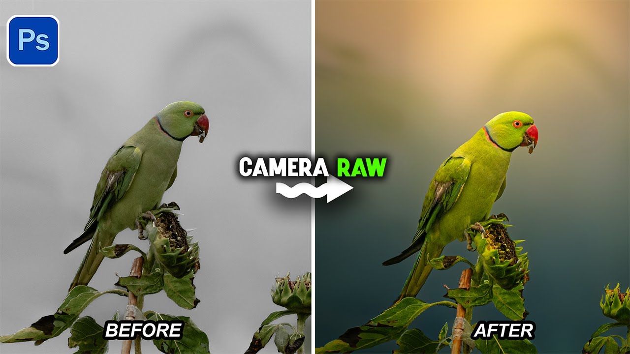 Quick Guide to Manipulate Colors Using Masking in Camera Raw