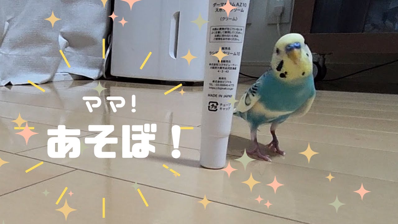 #040 20250719　飽きるまで付き合ってみた