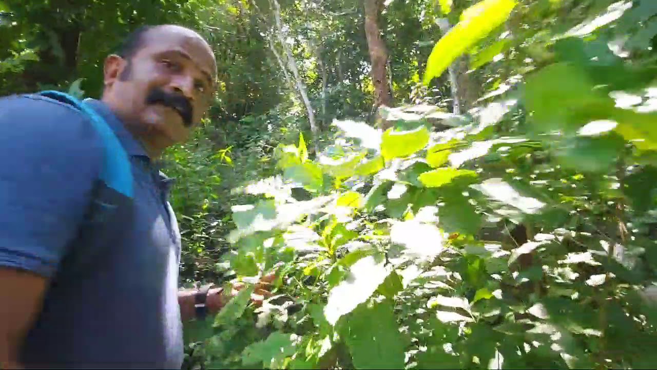 വി.കോട്ടയം തൊടുരുളിപ്പാറ | മലകയറ്റം | Thodurulippara Vallicode - Kottayam