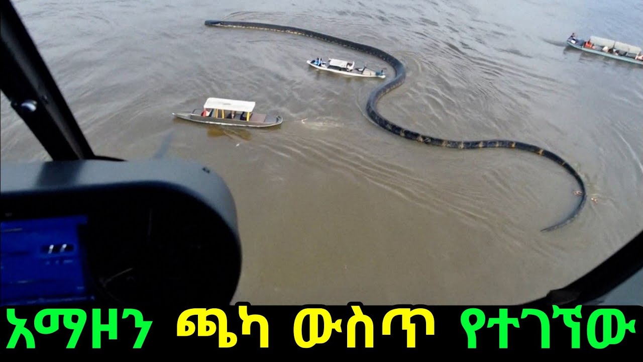 ጉድ የማያጣው የአማዞን ጫካ ውስጥ የተገኘው አደገንኛና እንግዳ ነገሮች