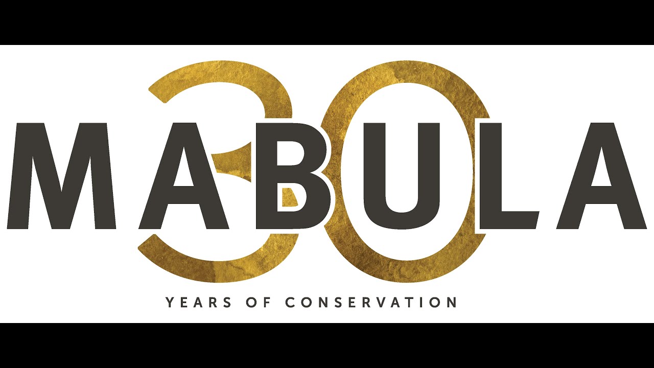 Празднование 30-летия Mabula Game Lodge
