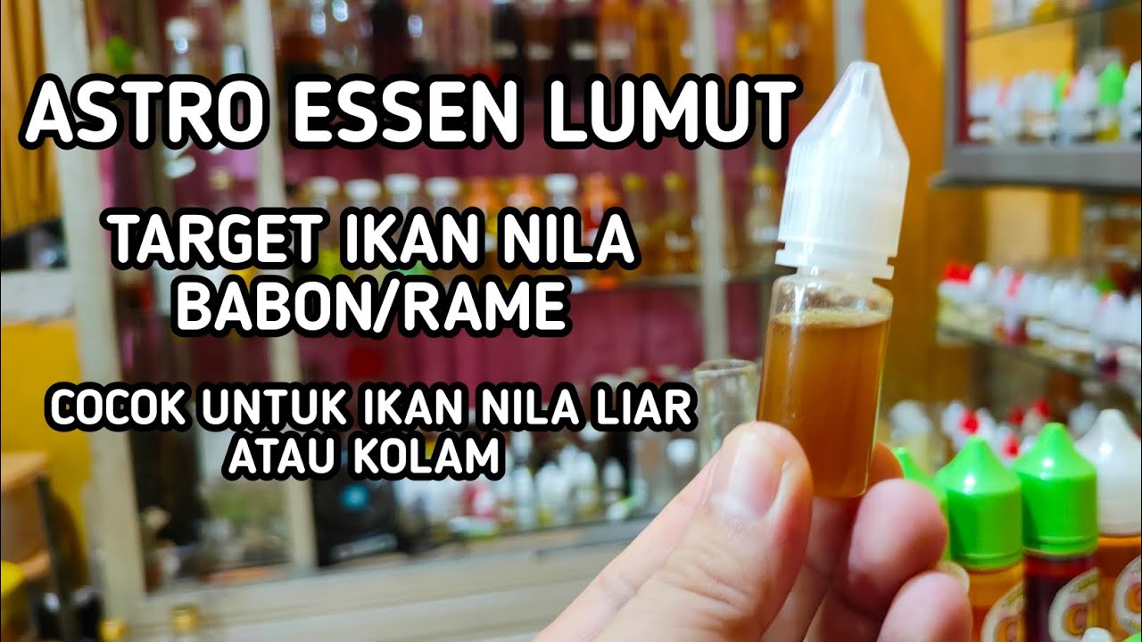 MARKIPLOS Essen ASTRO khusus Nila media Lumut target Babon/Rame || marikitangoplos