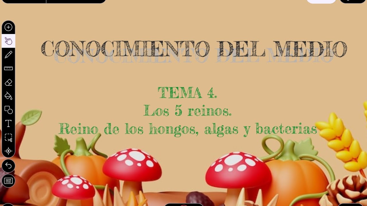Conocimiento del Medio Tema 4. Reino de los hongos, algas y bacterias.