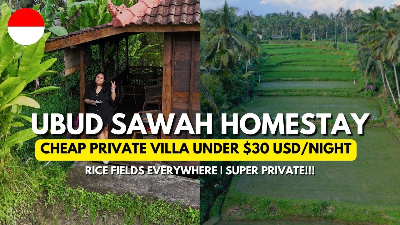 Cheap Bali Private Villa | Ubud Sawah Homestay Villa Tour + Private Airport Transfers