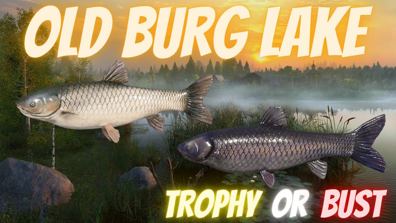 Russian Fishing 4 Old Burg Lake Trophy Or Bust Ep 7