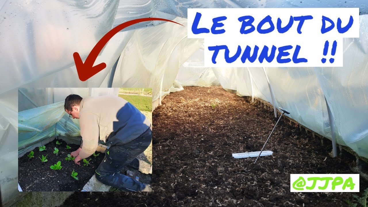 Le bout du tunnel !! 🥬🥬🥬