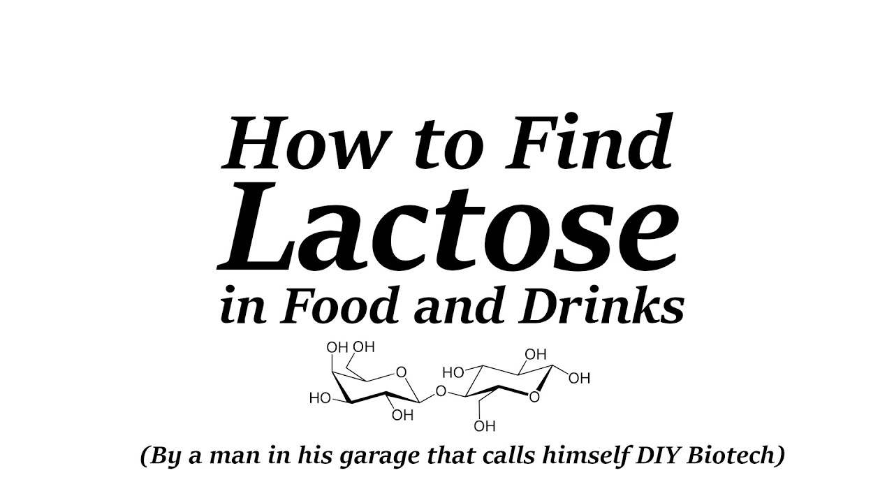 Find Lactose Content of Food and Drinks