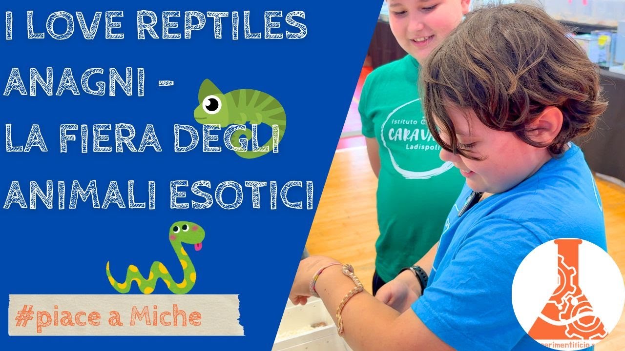 I Love Reptiles Anagni -  la fiera degli animali esotici