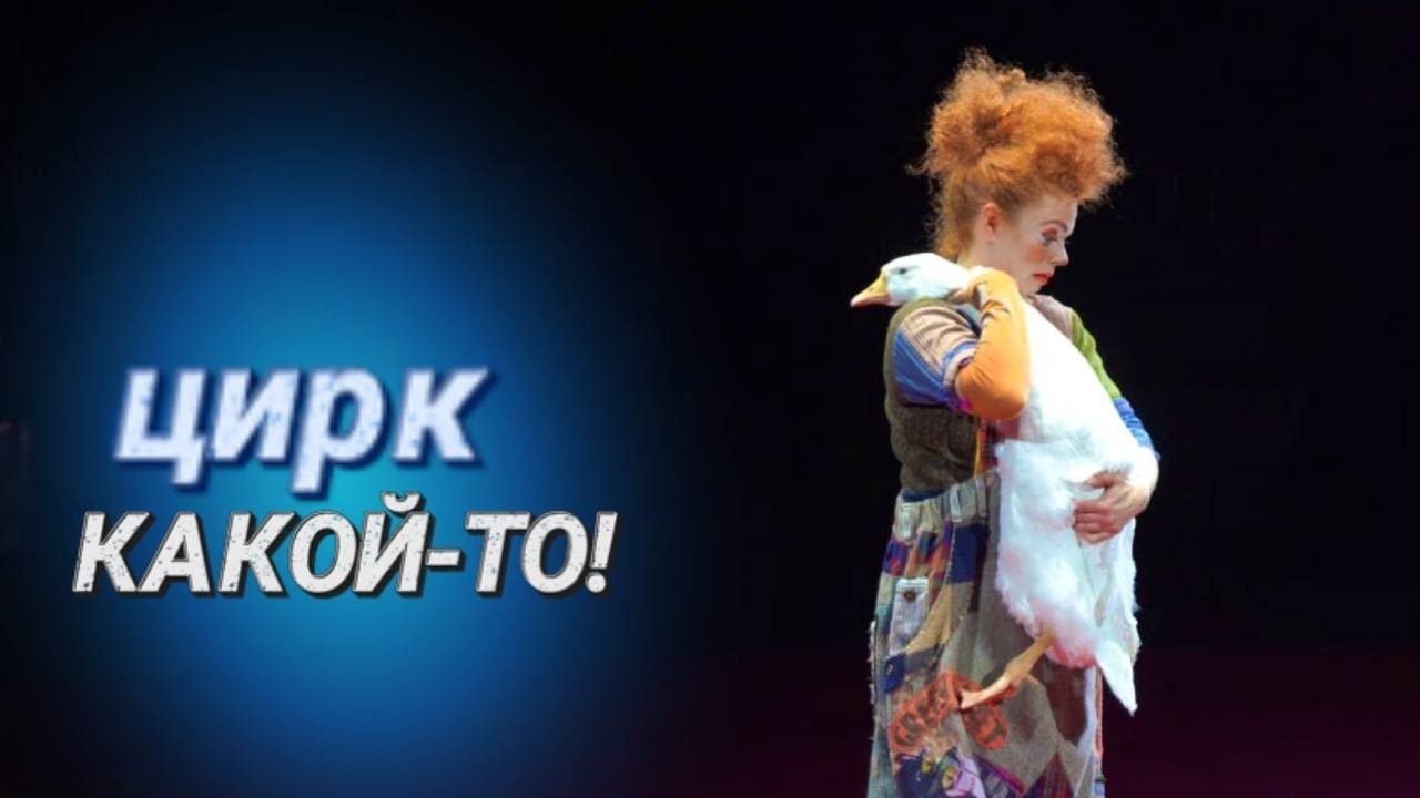 Зачем взрослые приходят в цирк? || Пудель, гусь и воздушные акробаты на столичной арене цирка