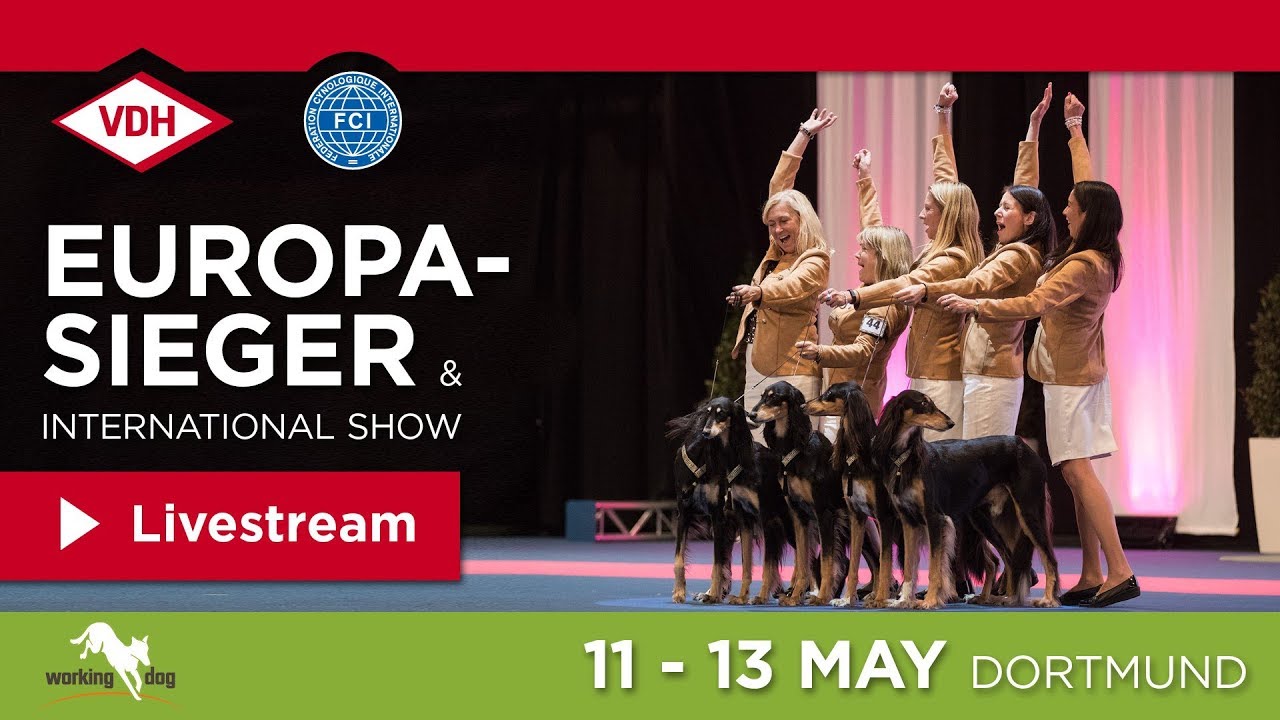 VDH Europasieger & International Show