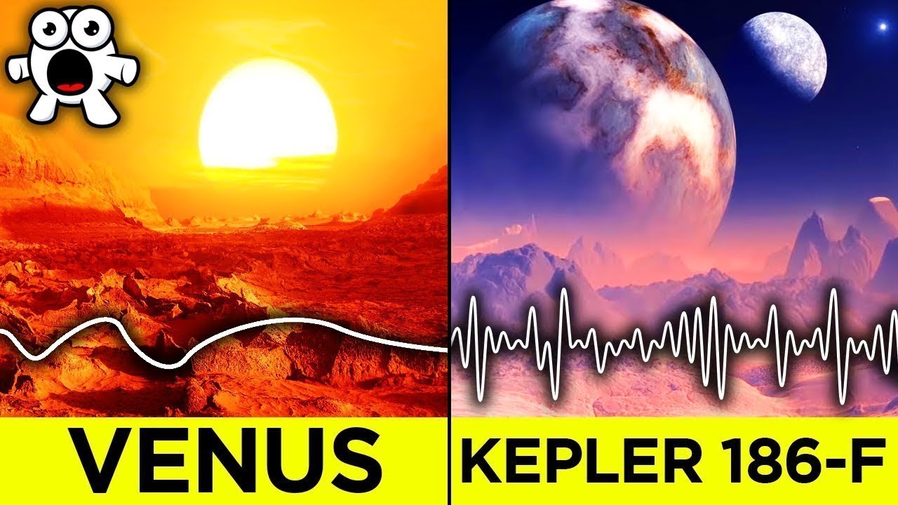 This Is What Life On Other Planets Might Look Like