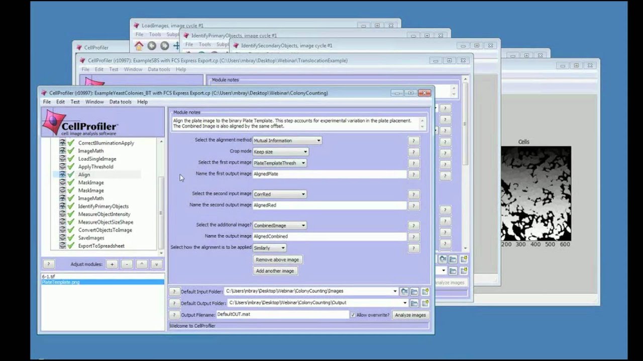 Using CellProfiler and FCS Express 4 Image Cytometry