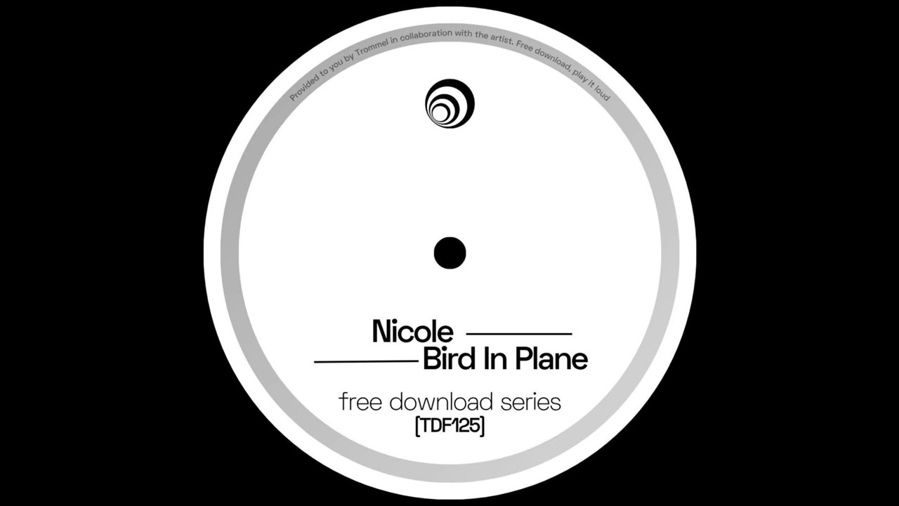 Nicole - Bird In Plane [TFD125]