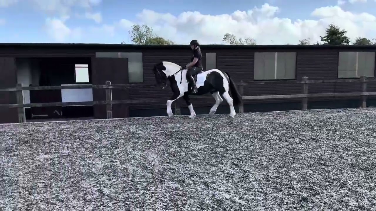 Gerry flat work 