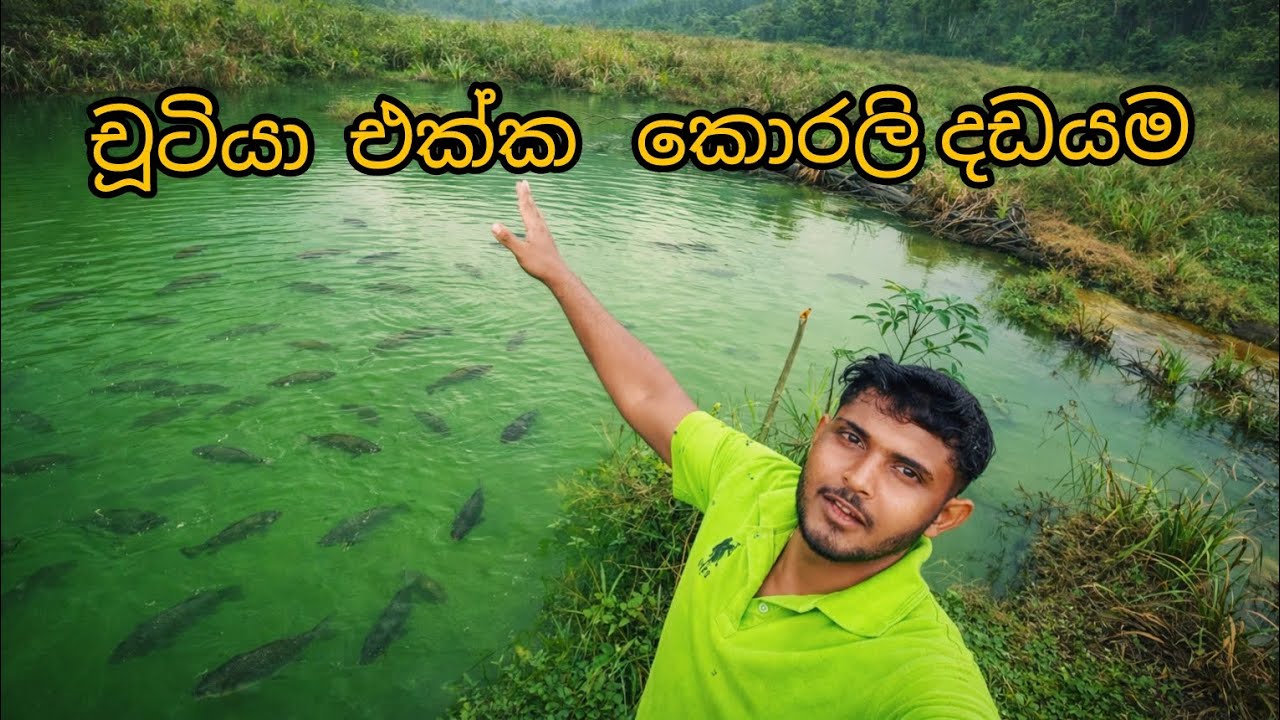 චූටියා එක්ක වගුරේ කොරලි අල්ලන ගමන💗