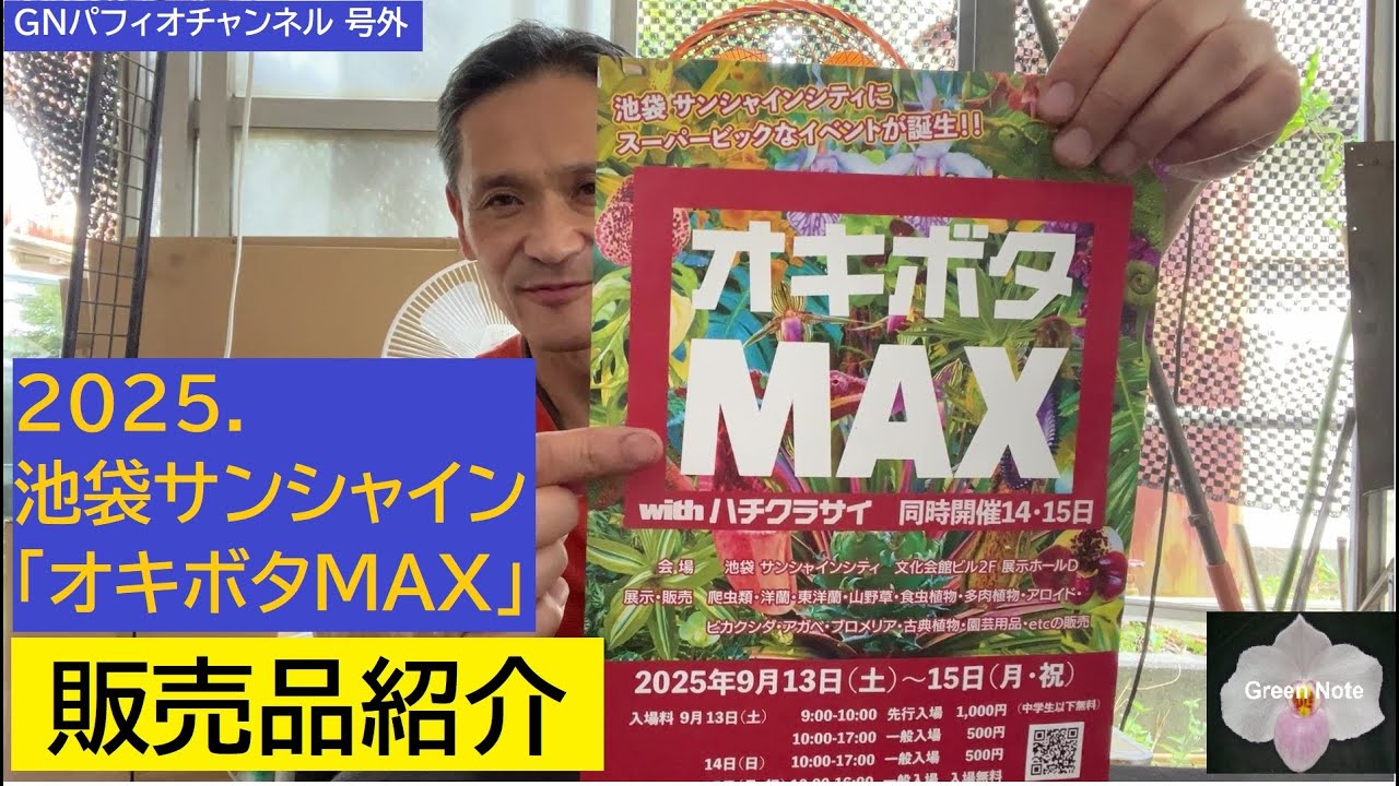 号外 オキボタMAX販売品紹介