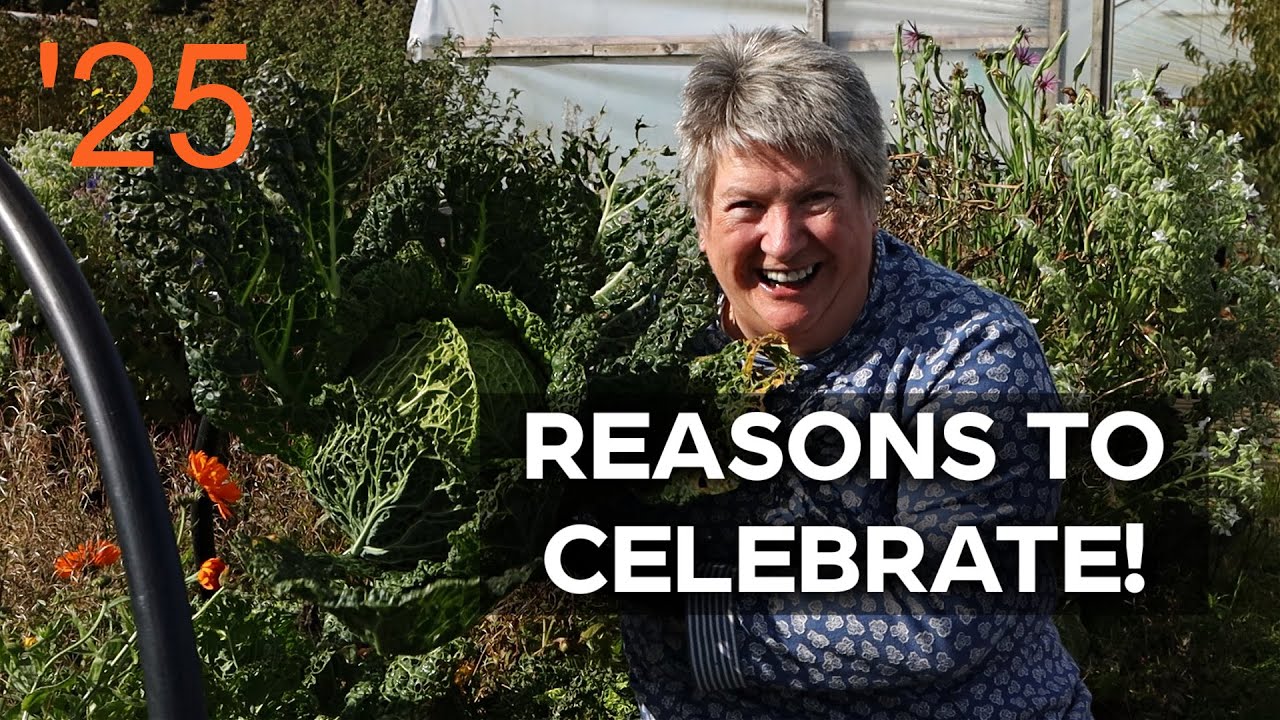 Improvements and things to learn | Real life gardening