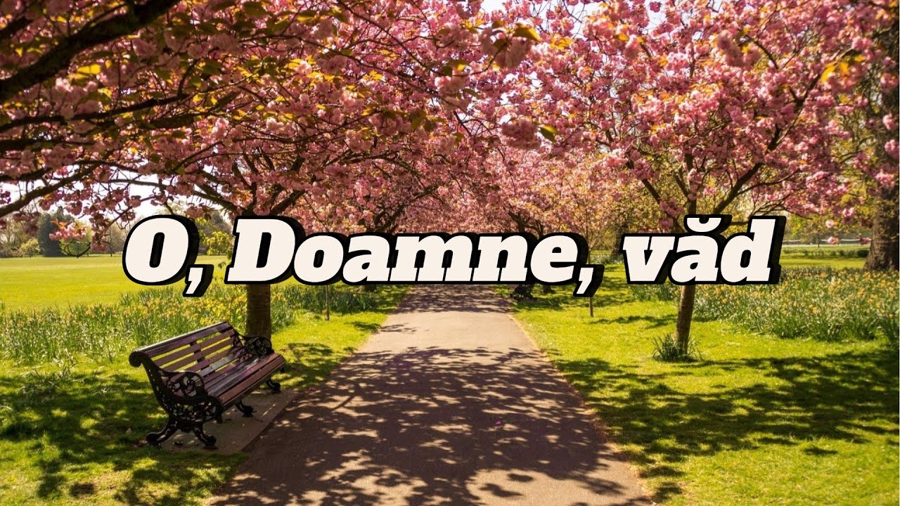 O, Doamne, văd - Nicolae Moldoveanu