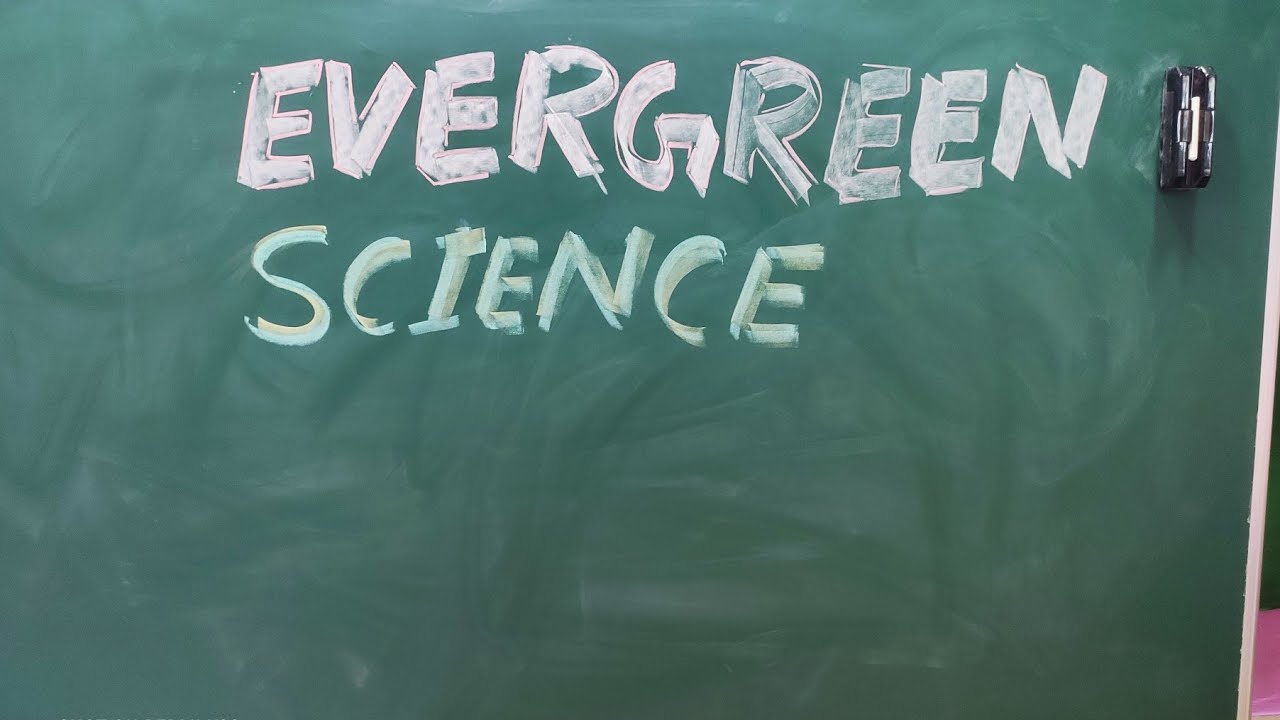 Green Magnetic  Chalk Board  review