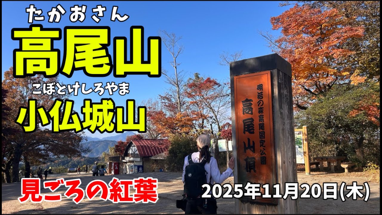紅葉の 高尾山 小仏城山 2025年11月20日(木)