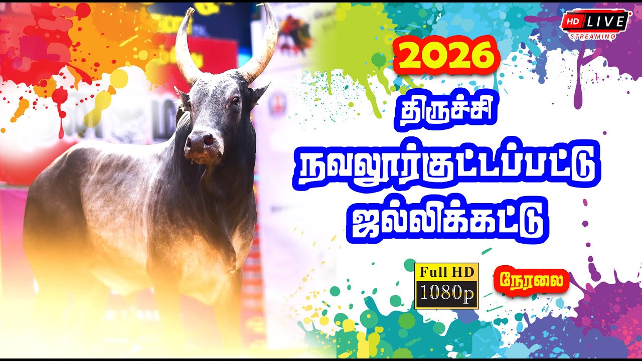 🔴 Live | நவலூர்குட்டப்பட்டு ஜல்லிக்கட்டு நேரலை திருச்சி மாவட்டம் நவலூர்குட்டப்பட்டு Jallikattu Live