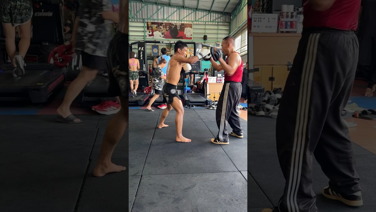Powerful focus mitts #boxing #boxingtraining