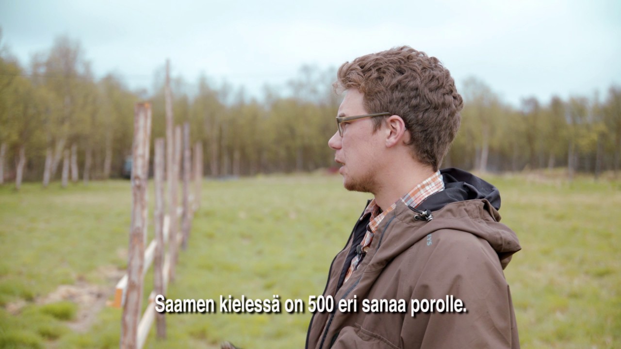 100 ammattiosaajaa - Poromies