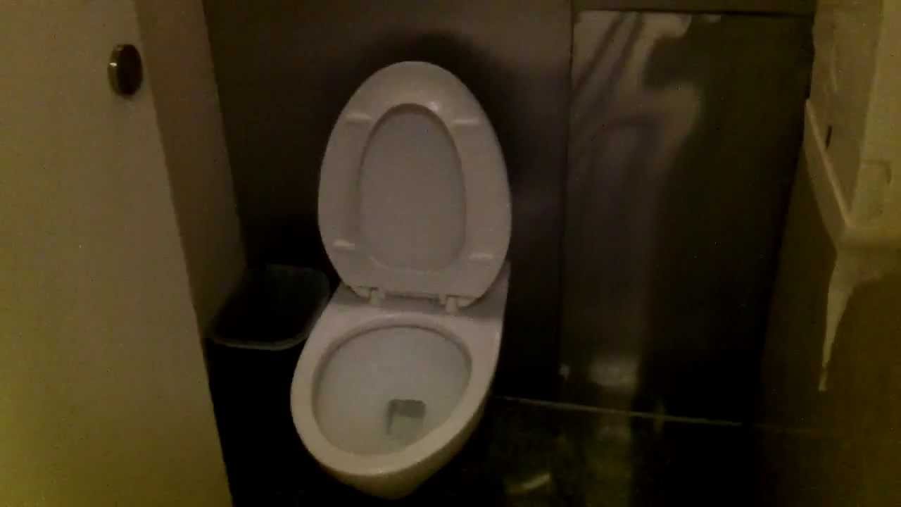 Restroom at Beijing International Airport China