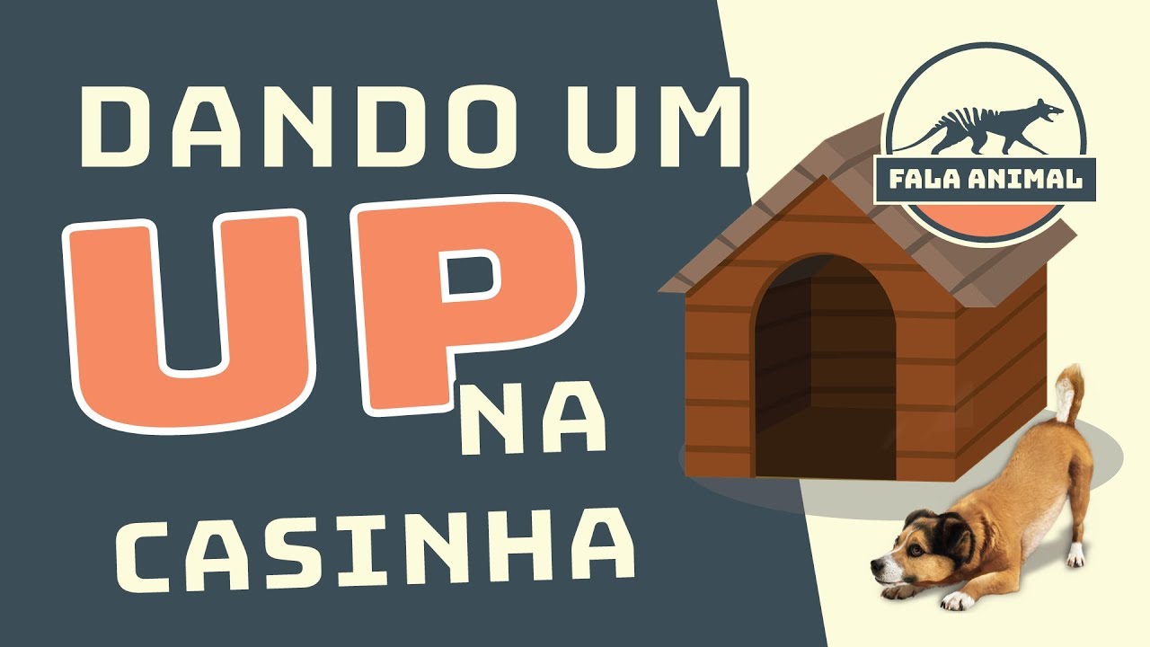 Protegendo Seu Cachorro do Frio
