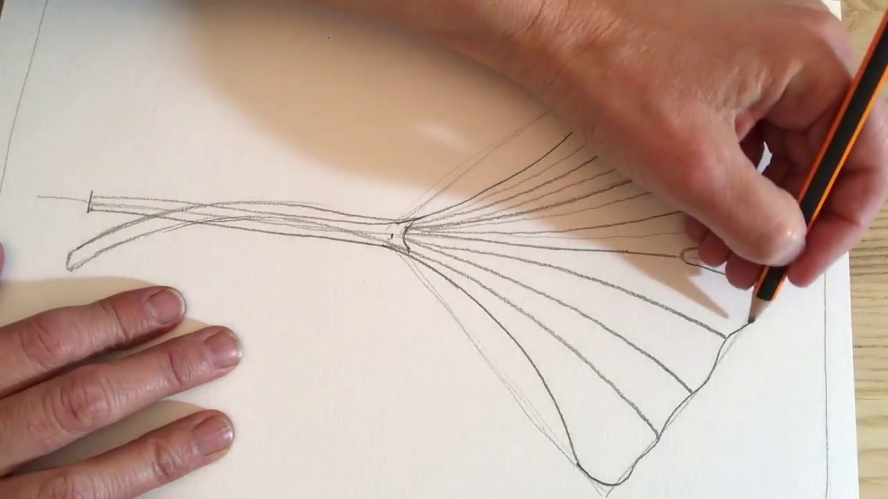 Dessiner au crayon #1 Ginkgo Biloba