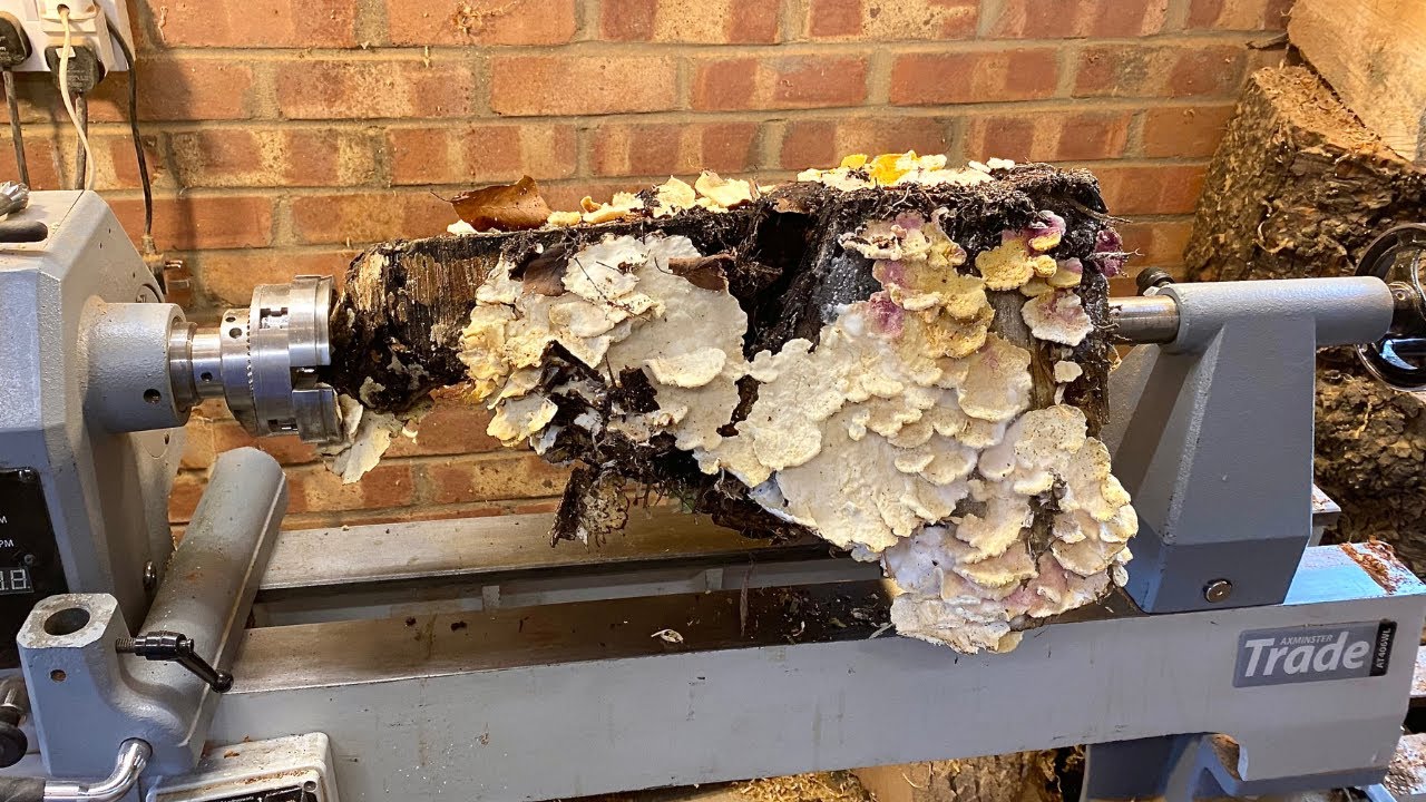 Wood Turning - Fungus! I never expected to get anything so beautiful