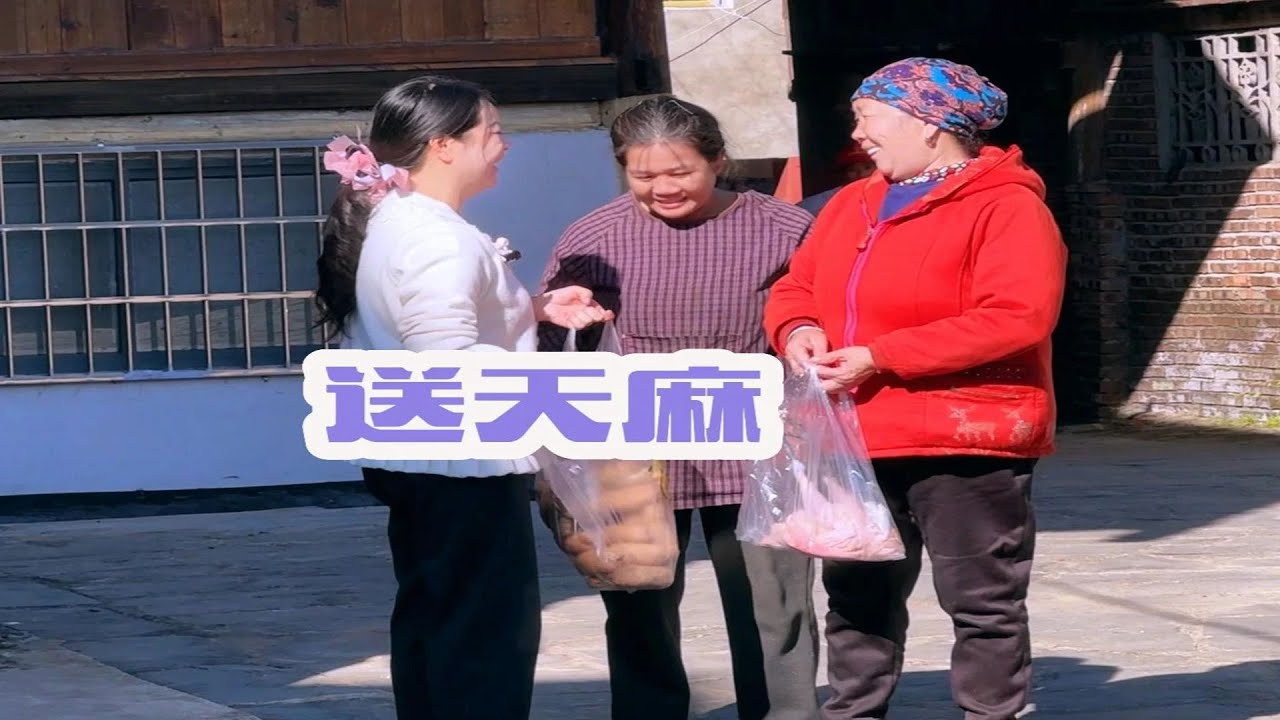秋子每次回家都是急匆匆，连饭都顾不上吃，又要回基地工作，答应给村里老人送天麻，今天再带只鸡一起送过去