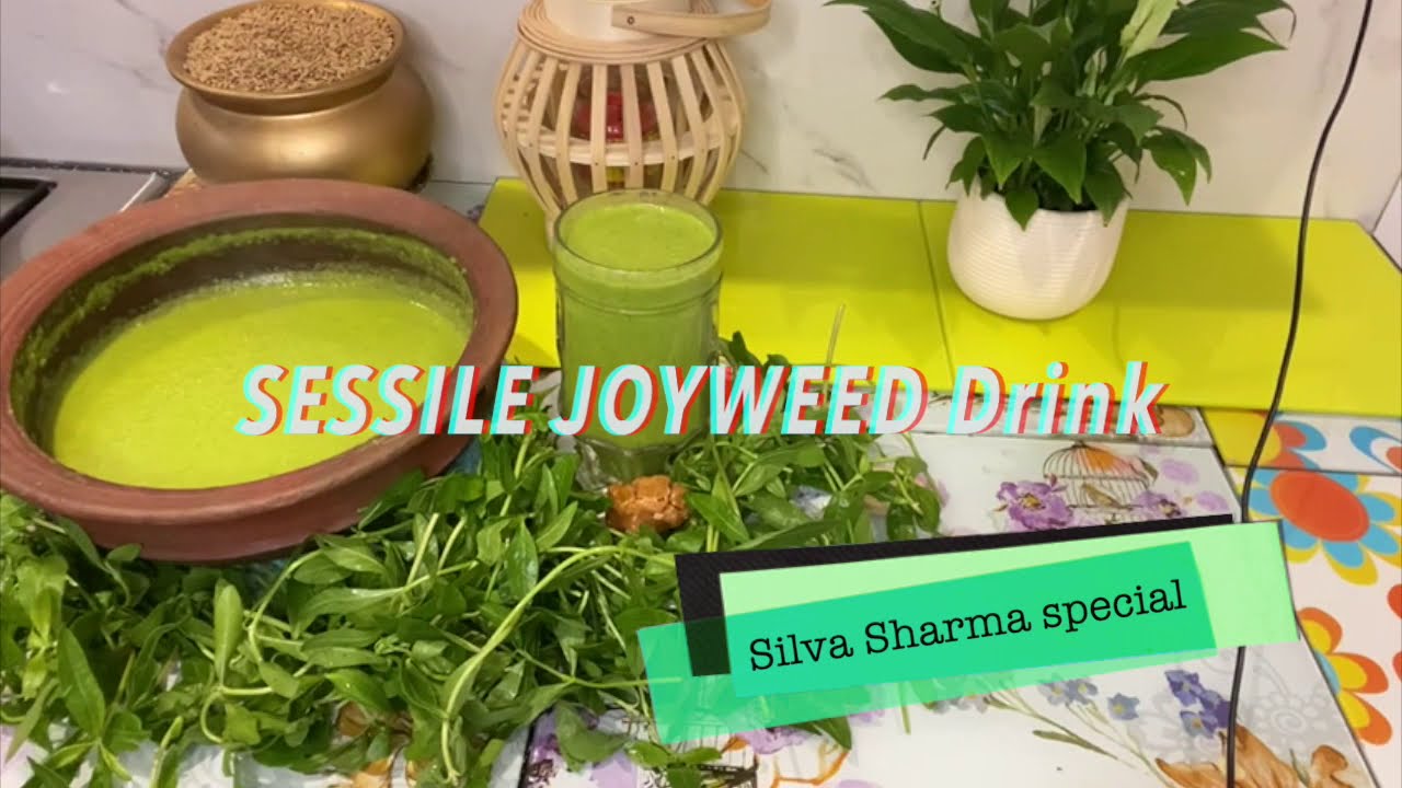 MUKUNUWENNA KOLA KANDA ( SESSILE JOYWEED  SOUP) IMMUNITY & HEALTH BOOSTER GOOD food FOR A GOOD LIFE